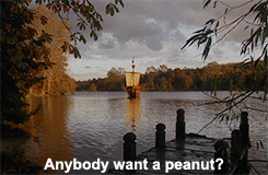 1650149895973.gif