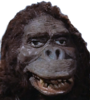 1703339059570.png