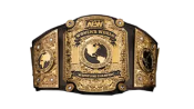 AEW World Women's Championship.png