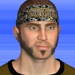 Air Attack Weasel.jpg