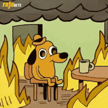 CC7F767A-827C-439D-91E4-5748A4D70F2C.gif