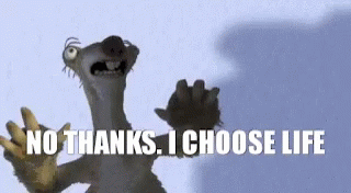 F49E7047-26F0-4B9C-B152-10A6E884E101.gif