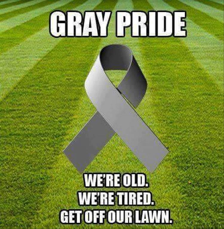 Gray pride.jpg