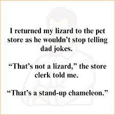 lizard.jpeg