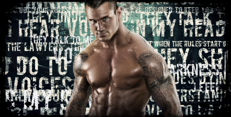 Orton1.jpg