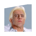 Ric Flair4.gif