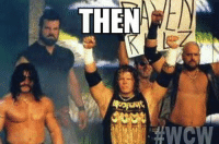 thumb_thema-now-my-wcw-this-week-ravens-flock-ty-920272.png