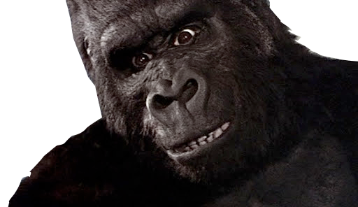 unnamed.png