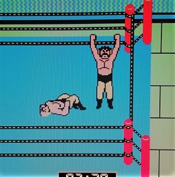 WCW Video Game.jpg