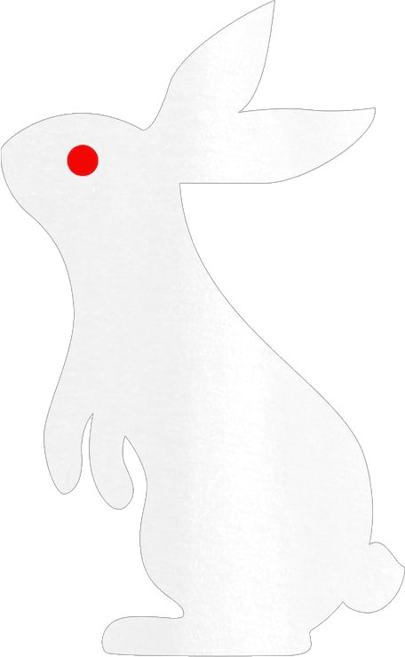White Rabbit.png