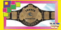 WWF World 1993.jpg