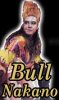 Bull_Nakano.jpg