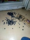 20170917_220350.jpg