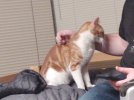 IMG_20200126_034754368.jpg