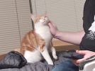 IMG_20200126_034757242.jpg