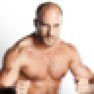 wweiceman96