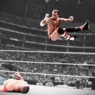 CrazyJ Cena