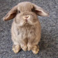 www