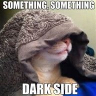 DarksideTrin