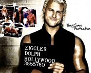 ZolpH DiggleR1