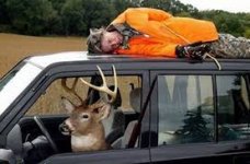Crankdeer