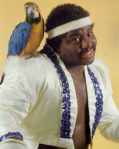 Koko B.