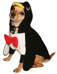 NickThePenguin
