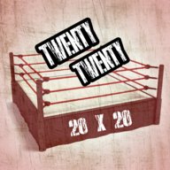 20X20