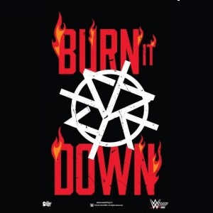 BurnITDown