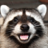 Coon