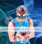 spider1.jpg