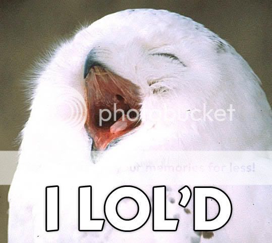 loled.jpg