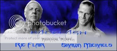 Backlash3.jpg