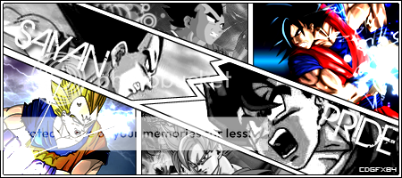 SaiyanPride.png