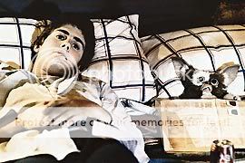 173426__gremlins_l1.jpg