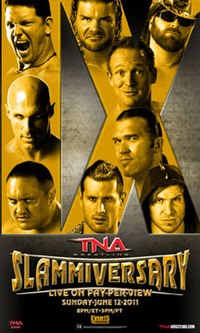 200px-Slammiversary_IX.jpg