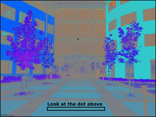 7ZW4y.gif