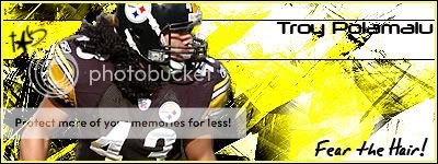 polamalu-1.jpg