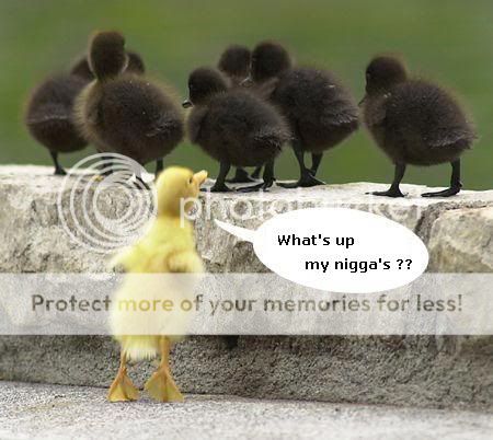 fb75whatupnigga.jpg