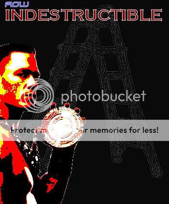 Indestructible.jpg