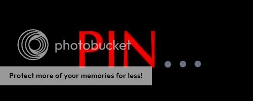 PIN1.jpg