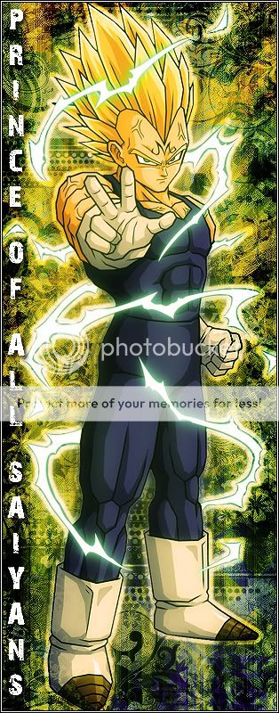 vegetaPOAS.jpg