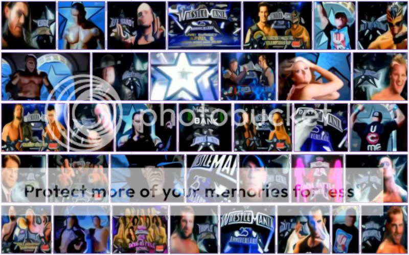 WrestleMania25thAnniversary.jpg