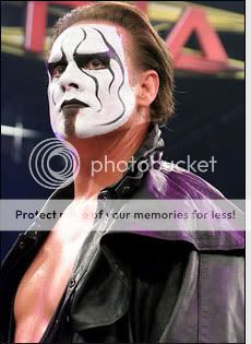sting4.jpg