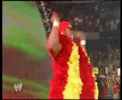 HulkHoganSummerslam052_zps4a994b23.gif