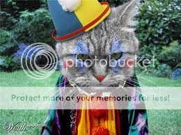 imagesqtbnANd9GcTglYNthqyVqhlTzcUSTxxQUKUSYHg6haX9oTXk6BiJXBW3vD56.jpg