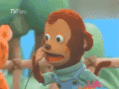 :monkey